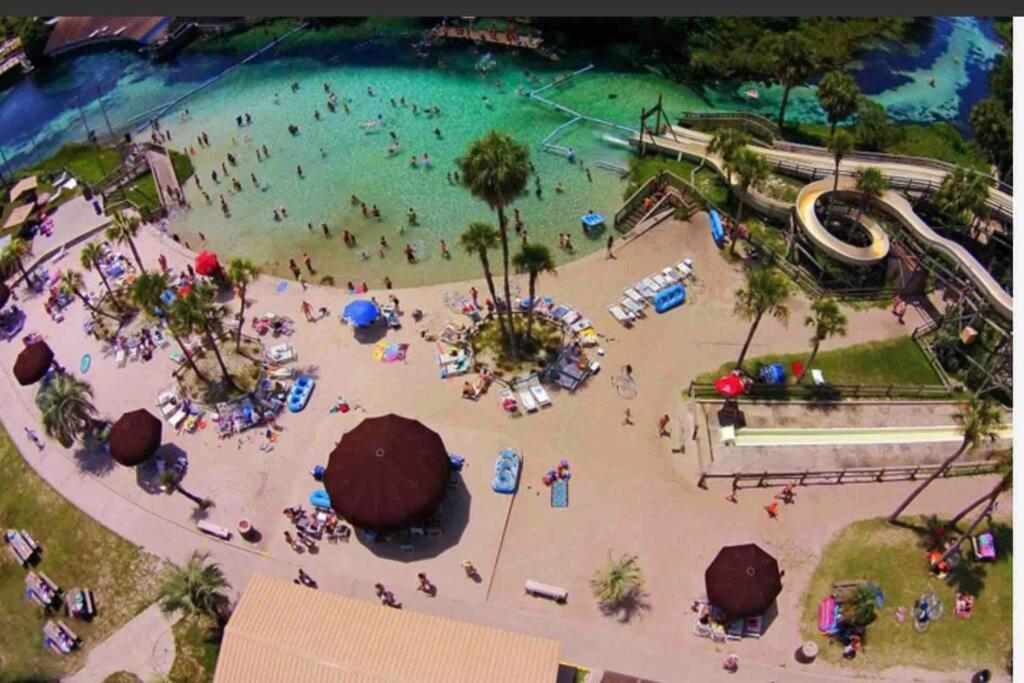 ספרינג היל Manatee Oasis Weeki Wachee Family Fun Pool Home מראה חיצוני תמונה